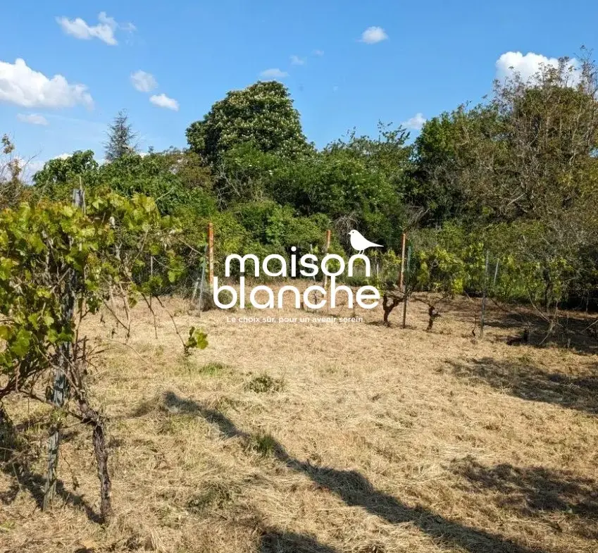 Belle maison en pierre avec jardin et potentiel à Blasimon 