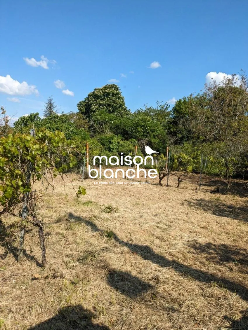 Belle maison en pierre avec jardin et potentiel à Blasimon 
