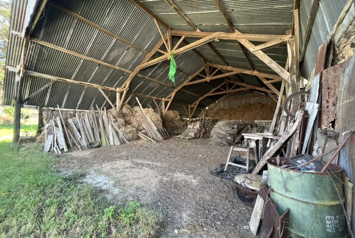 Dépendances en pierres avec terrain à Saint Lumine de Coutais - Cadre bucolique 