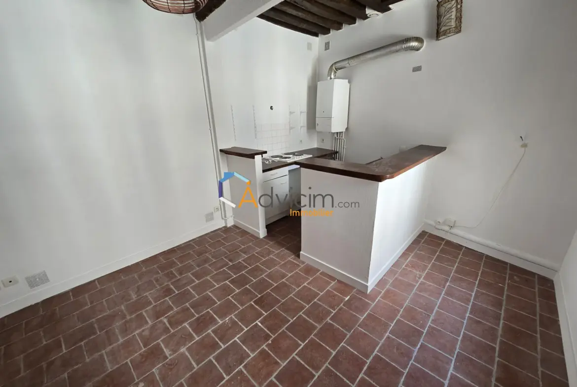 Maison ancienne à vendre à Orléans avec terrasse et potentiel de rénovation 