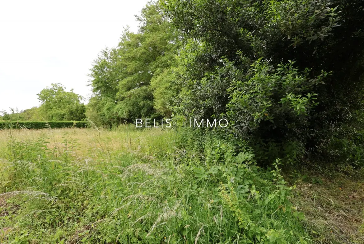 Terrain constructible à Cheillé - 485 m² dans un cadre paisible 