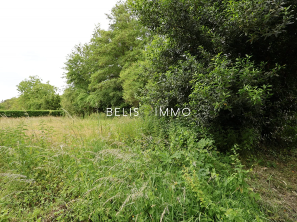 Terrain constructible à Cheillé - 485 m² dans un cadre paisible