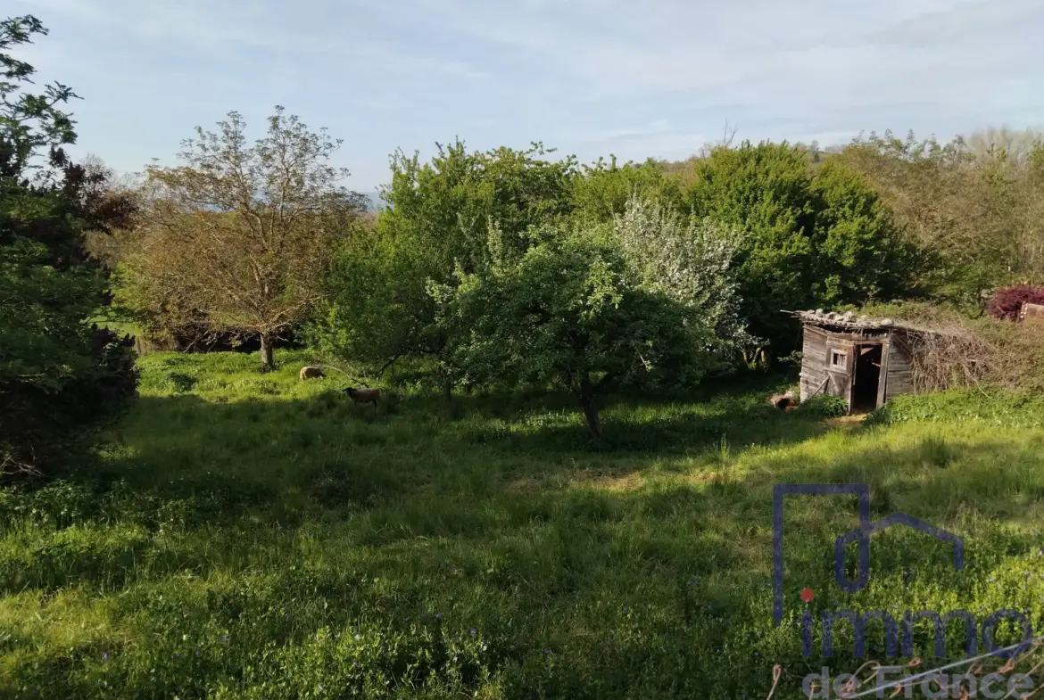 Maison en pierre rénovable de 150m² avec terrasse à Chaspinhac 
