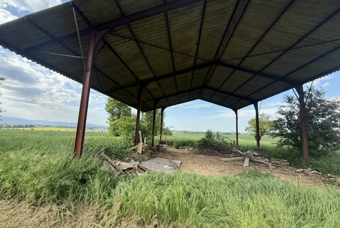 Hangar agricole de 150m² à vendre à Francheleins avec terrain de 2786m² 