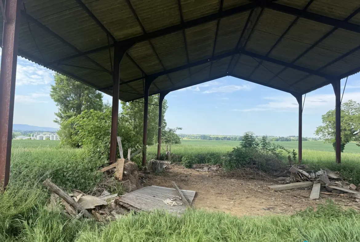Hangar agricole de 150m² à vendre à Francheleins avec terrain de 2786m² 