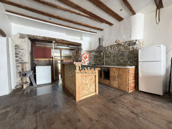 Charmant immeuble avec local commercial, terrasse et jardin en plein cœur d'Allevard