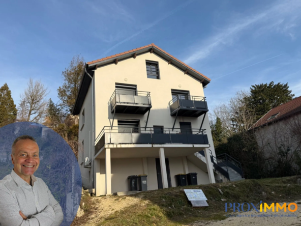 Charmant appartement T3 en duplex avec cave à Voiron