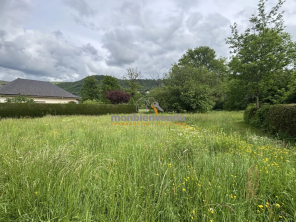 Terrain constructible de 517 m² à vendre à Vic-sur-Cère - Opportunité rare