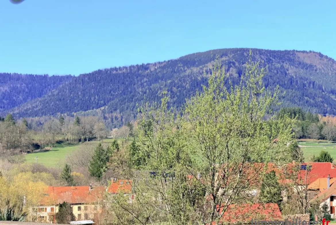 Maison à vendre à Saulxures avec potentiel d'extension et second logement 
