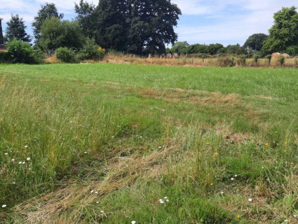 Terrain constructible de 3000 m² à Saint Laurent de la Plaine — Investissement immobilier