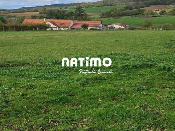 Terrain à vendre à Semur-en-Auxois - Opportunité de lotissement