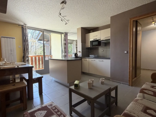 Appartement 2 pièces avec balcon et coin montagne à Les Carroz d'Arâches