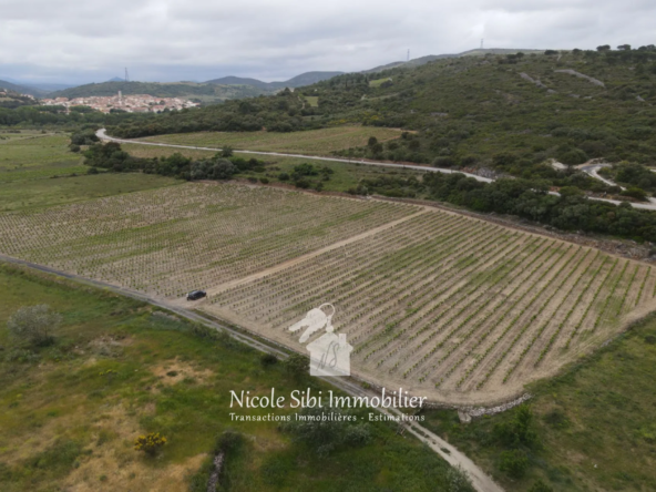 Achat terrain agricole de 24 776 m² avec vignes en pleine production à Latour-de-France