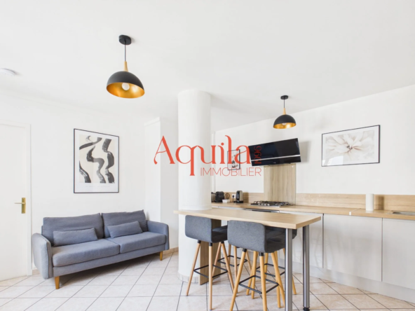 Appartement T3 rénové à vendre à Villeurbanne proximité Doua