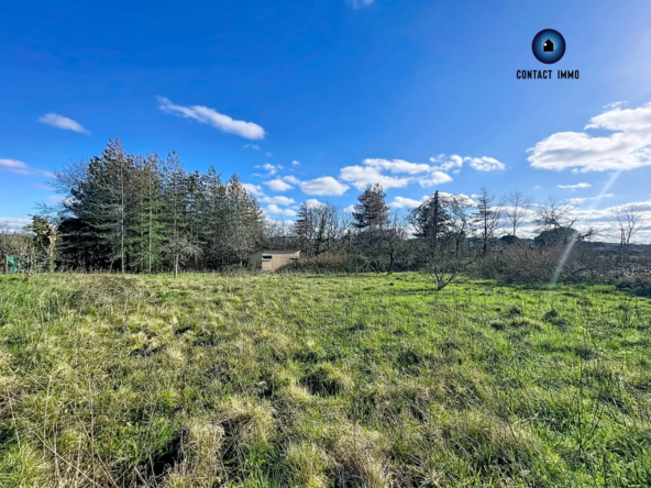 Terrain constructible à Cosnac - Environnement calme et verdoyant