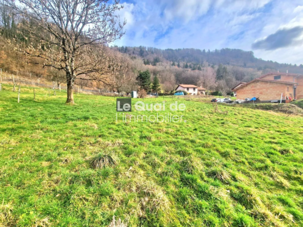 Terrain constructible de 1891 m² à vendre à La Chapelle-du-Bard - Idéal pour votre projet immobilier