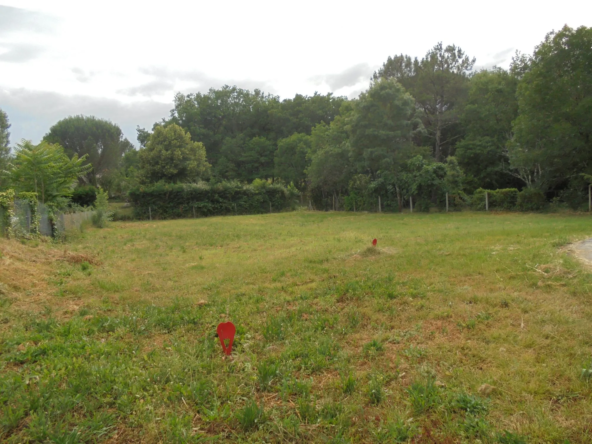 Terrain à bâtir de 985 m² en hauteur à Graulhet – Calme et proximité