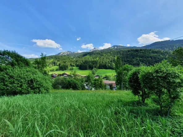 Terrain à vendre à Abondance de 1000 m², exposé plein Sud, secteur calme