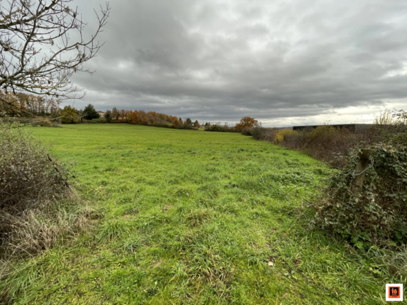 Terrain constructible de 20 700 m² à Thiers avec prairie attenante, parfait pour chevaux et projet rural