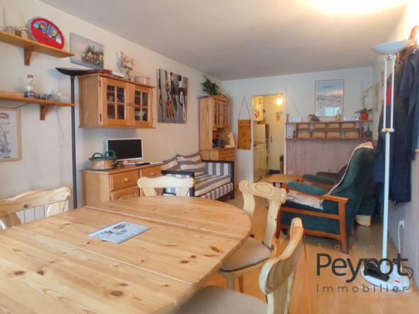 Appartement T3 meublé avec vue sur les montagnes à Les Angles