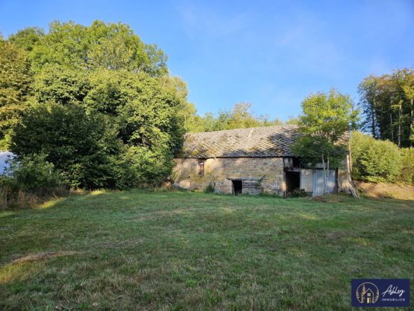 Grange en pierre à rénover à Davignac – Opportunité rare à 14 000 €