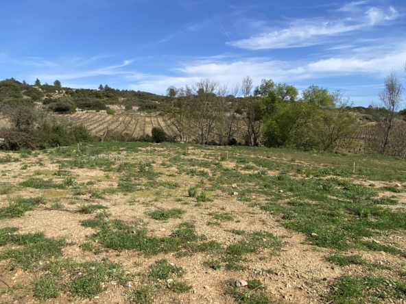 Terrain constructible viabilisé de 996 m² à Cessenon-sur-Orb
