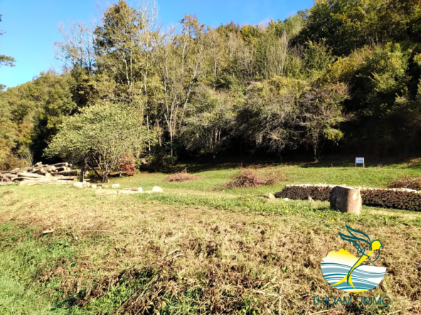 Terrain constructible de 4267 m² à Saint-Faust, cadre naturel et tranquility