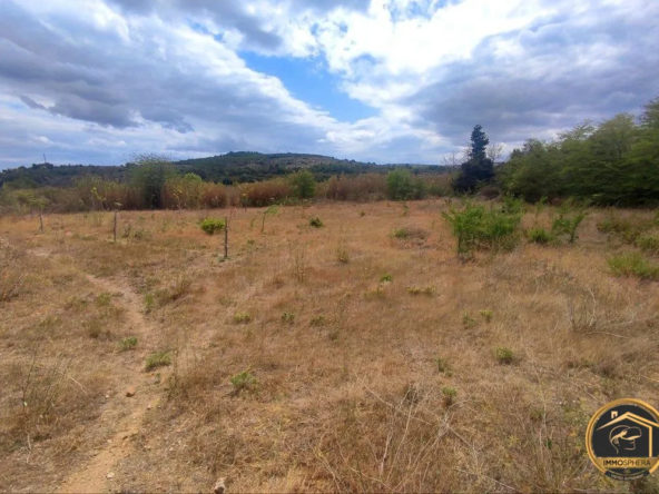 Terrain agricole de 5260 m² à Portel-des-Corbières – Potentiel et tranquillité
