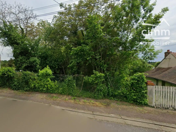 Terrains constructibles à Nogent-sur-Vernisson - Opportunité à saisir