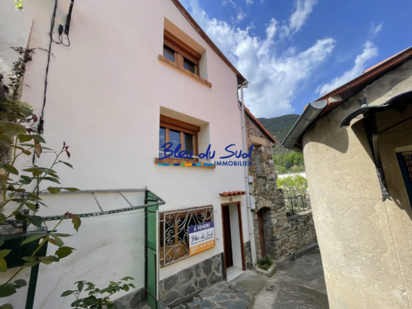 Maison de village à Serdinya avec terrain agricole — Opportunité à saisir