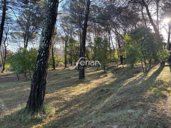 Terrain constructible de 7 100 m² à Callas pour projet touristique