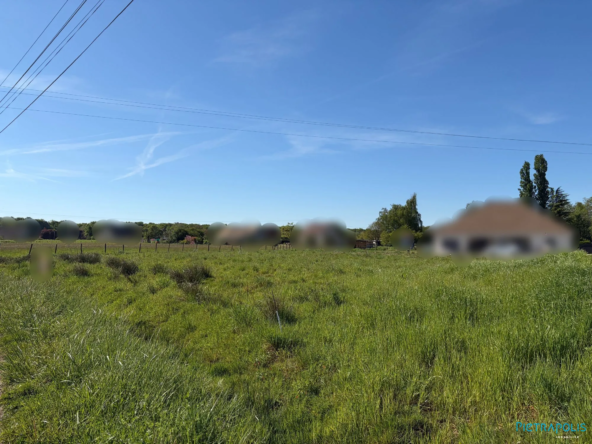 Terrain constructible de 1665 m² à Saint-Martin-en-Bresse - Opportunité idéale