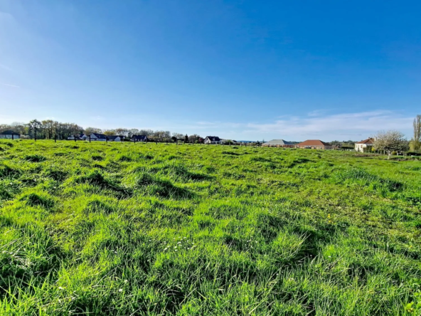 Terrain constructible à Saint REmy de 751 m², proche Chalon-sur-Saône, viabilisé