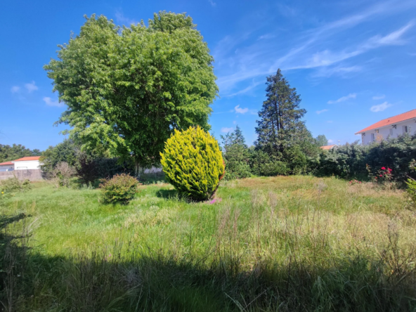 Terrain constructible de 833 m² à Biscarrosse Bourg avec garage en transformation
