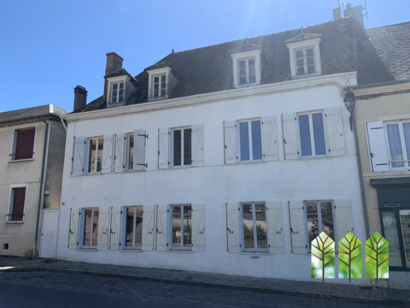 Grande propriété de caractère à rénover avec potentiel de gîte à Châteaumeillant