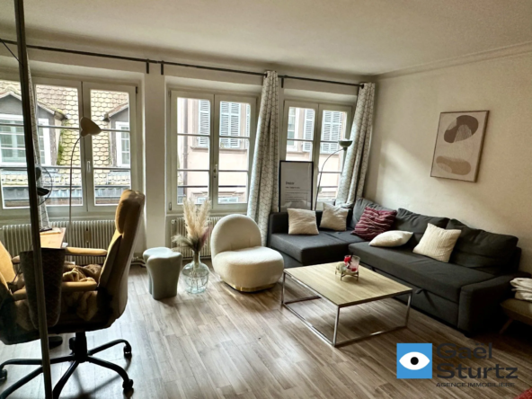 Charmant appartement F1 de 37 m² rue des Orfèvres à Strasbourg