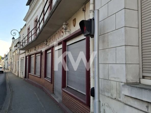 Ensemble immobilier à rénover de 250 m² à La Croix-en-Touraine – Potentiel d'investissement