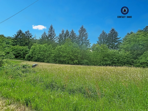 Terrain constructible à Beynat – 3 500 m² en environnement calme et privilégié