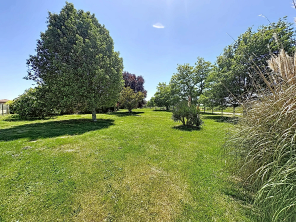 Terrain non viabilisé de 504m² à Bessens – environnement calme