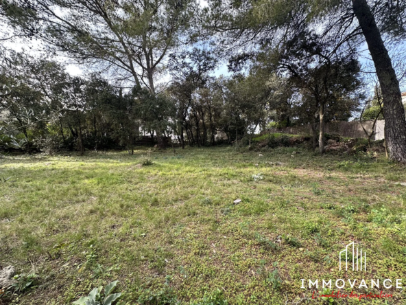 Terrain viabilisé de 538 m² à Aubais, environnement calme