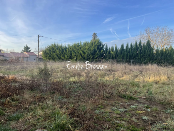 Terrain constructible en ville à Gaillac – Opportunité rare