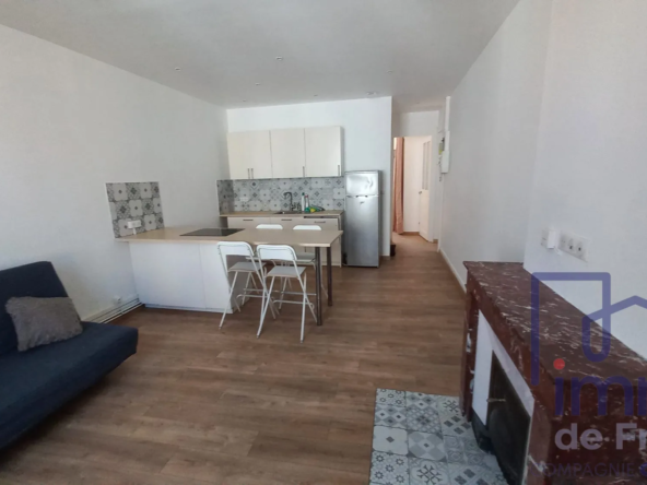 Très bel appartement T2 rénové à Saint-Étienne - Montplaisir, 48,52 m²