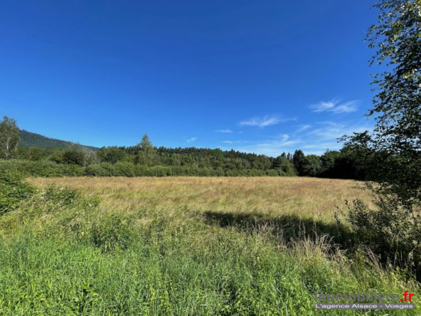 Terrain de 4259 m² à Saulcy-sur-Meurthe en zone industrielle, non constructible en raison du PLUIH