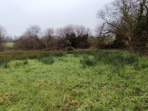 Terrain agricole à vendre à Plabennec de 7 800 m² en campagne