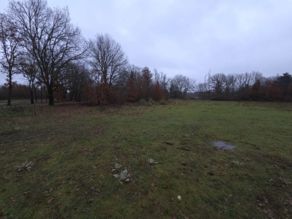 Terrain constructible de 8 654 m² à Montcaret avec possibilités de développement
