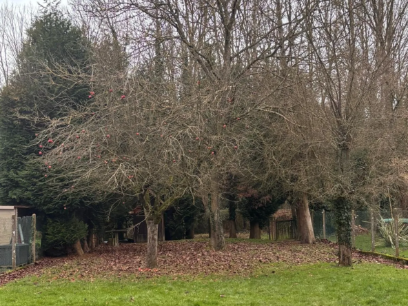 Terrain constructible arboré à vendre près de Vallangoujard