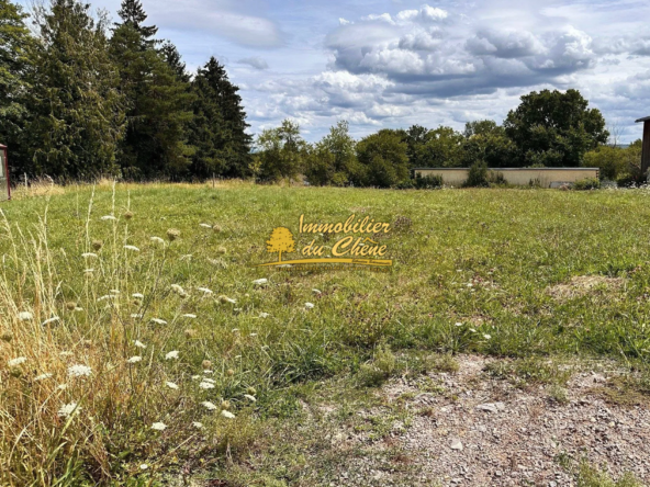 Terrain constructible de 2032 m² à Abelcourt en France