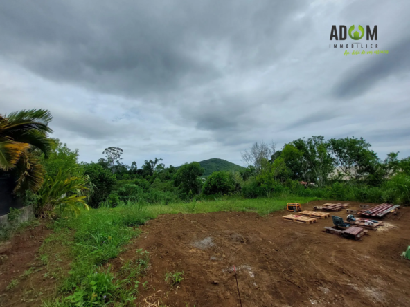 Terrain à vendre à Saint-Pierre - Opportunité résidentielle avec environnement préservé
