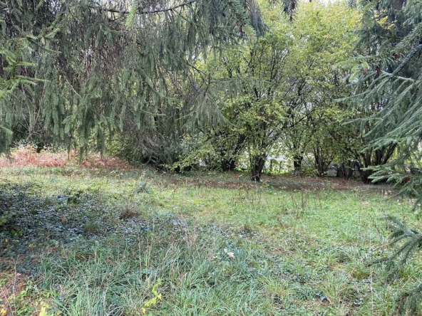Terrain constructible à Saint-Julien-le-Petit (87460) avec permis et viabilisation