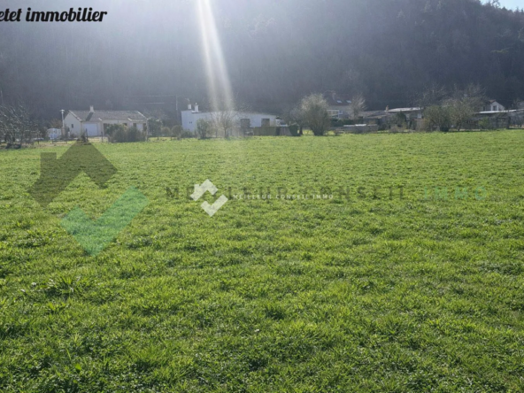 Terrain à vendre à Massiac - 1000 m² de terrain constructible